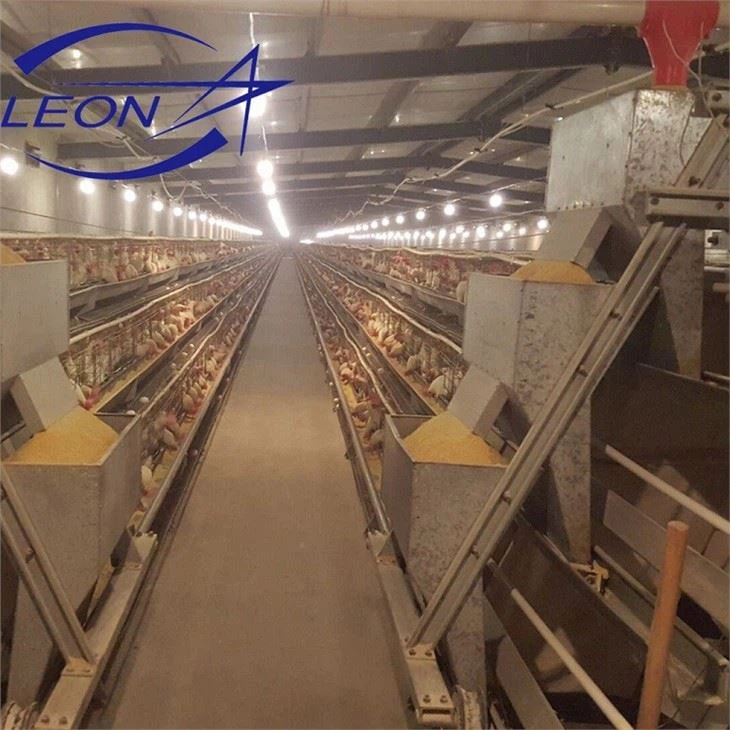 Chicken Cages Egg Layer